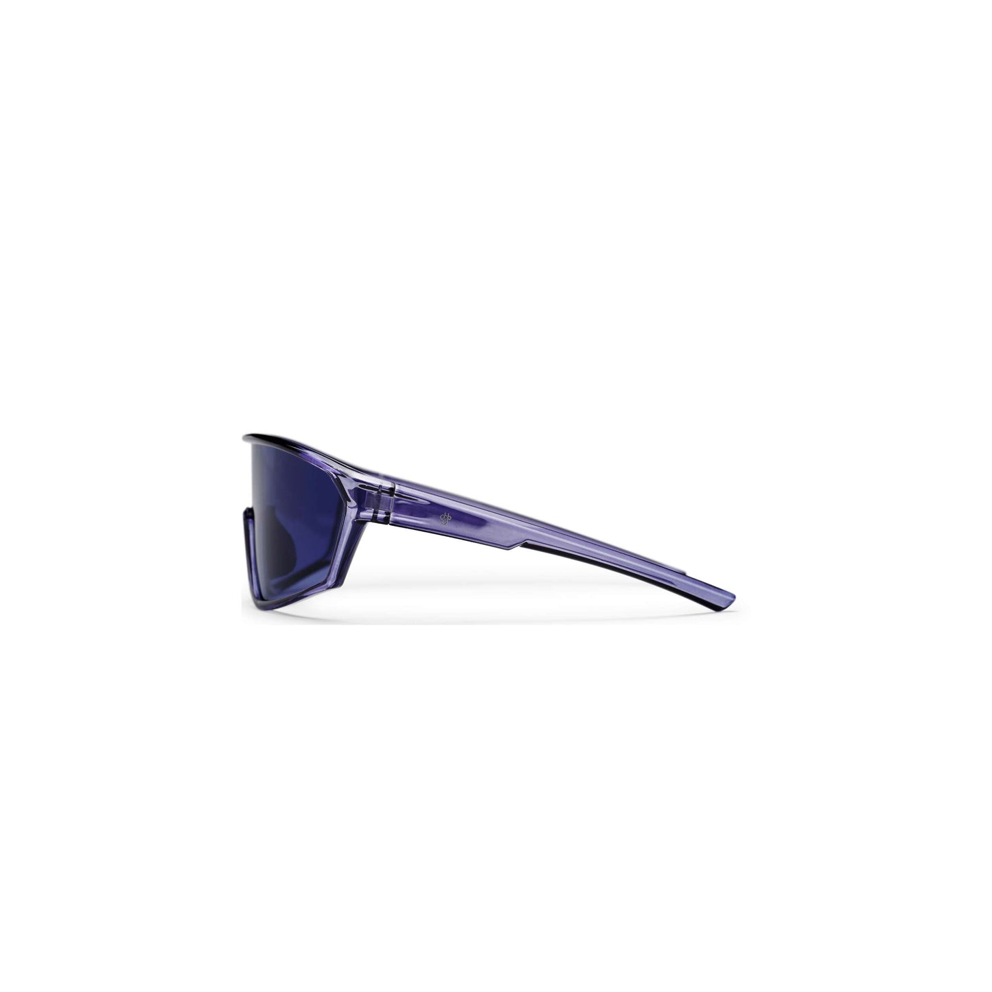Chpobrillen Vinfred Indigo Blau