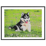 Bastel-ID-Diamantgemälde, 40 x 50 cm, Hund - afbeelding 2