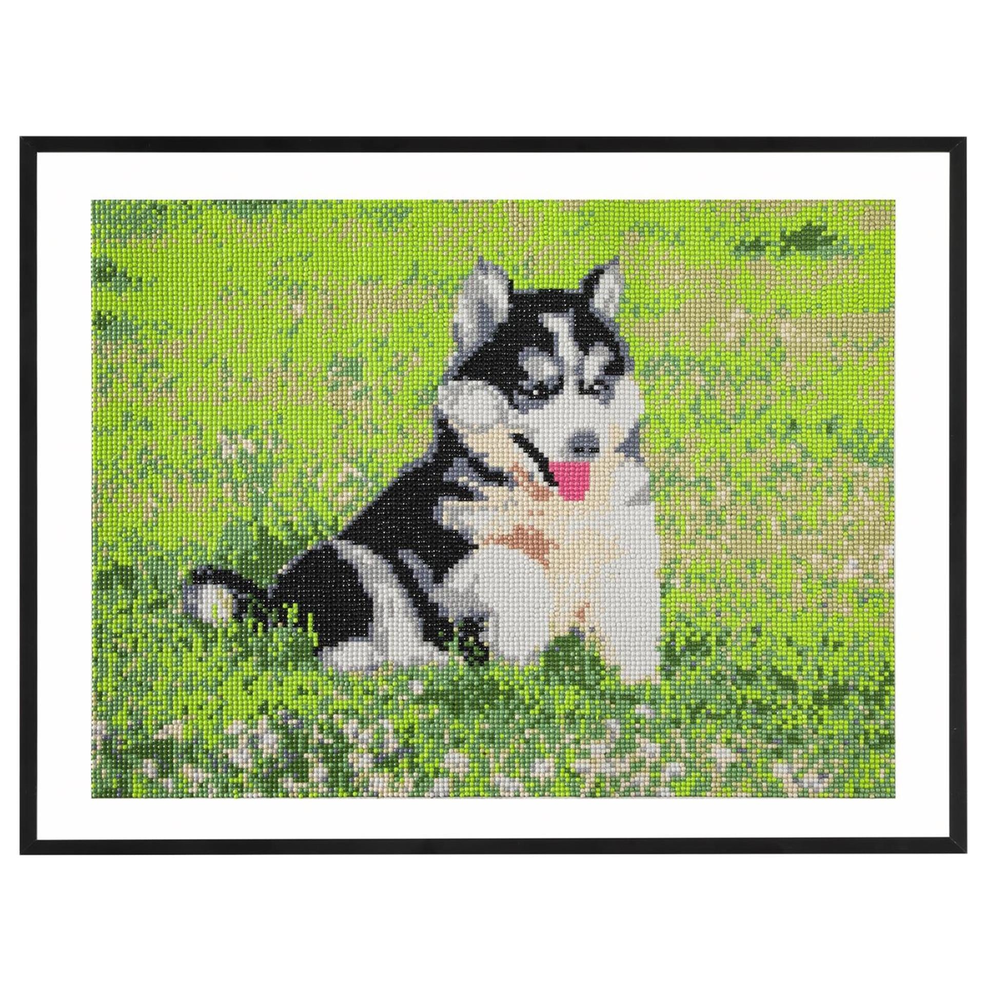 Bastel-ID-Diamantgemälde, 40 x 50 cm, Hund