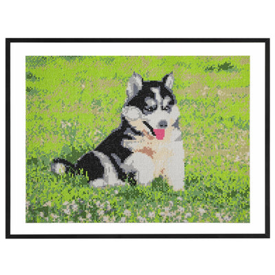 Bastel-ID-Diamantgemälde, 40 x 50 cm, Hund
