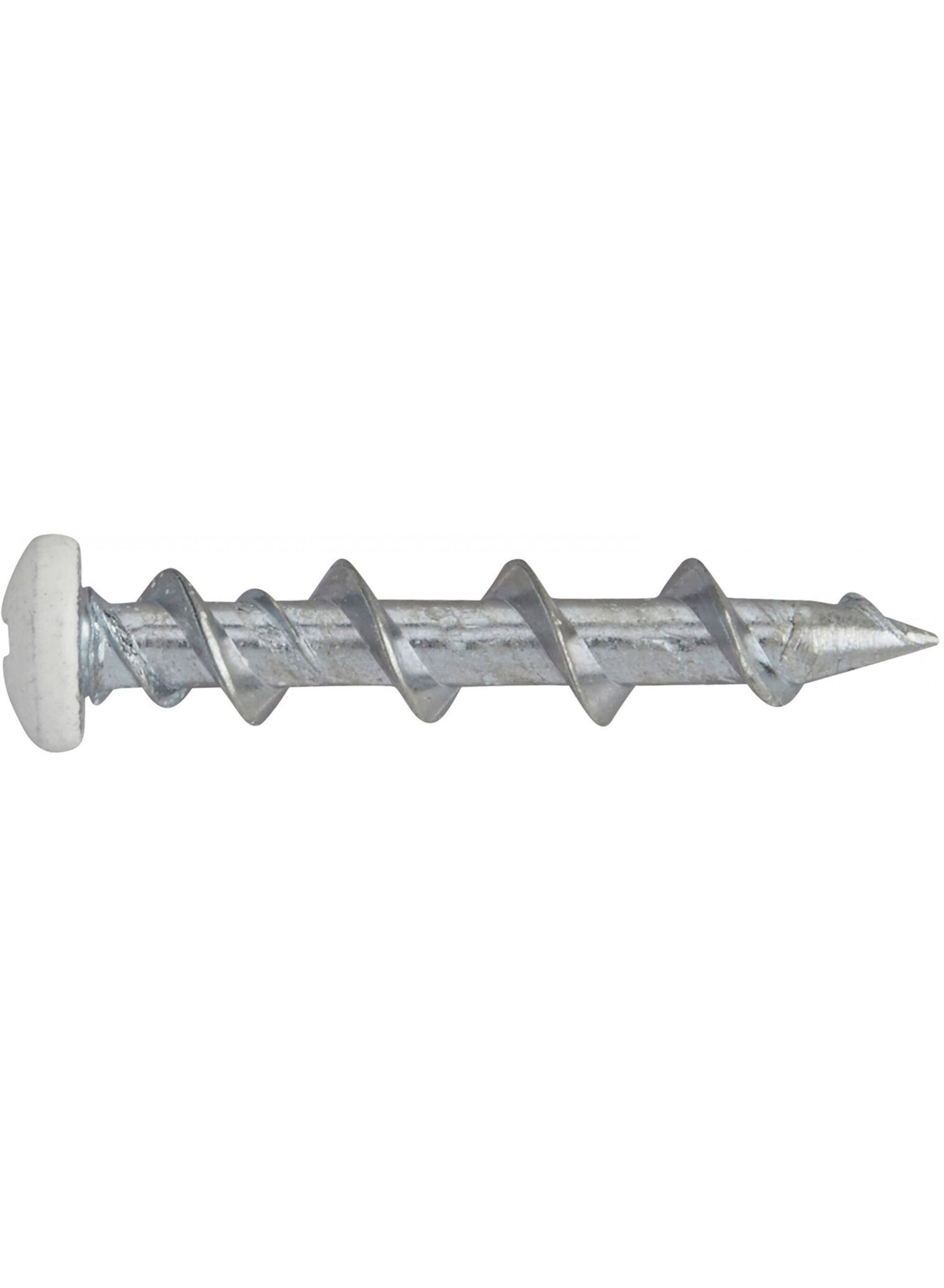 Dewalt Zubehör Walldog 32 mm Knopfkopf weiß (100 Stück) – dfm425000p