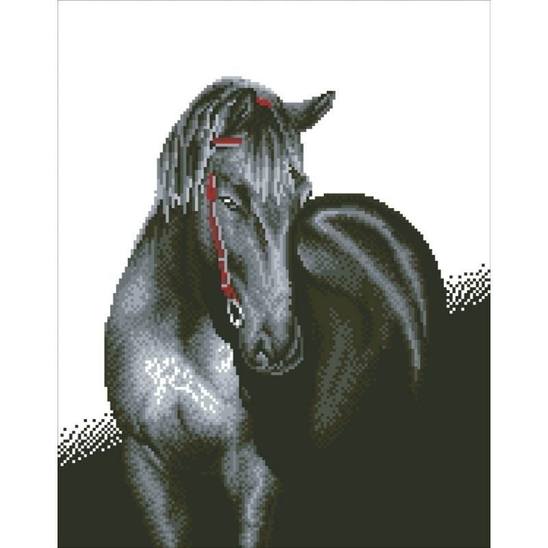 Mitternachtshengst Diamond Dotz: 53x42 cm (dd10.012)