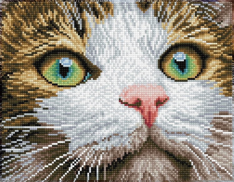 Diamond Dotz Green Eyed Beauty: 43x35 cm (dd6.029)