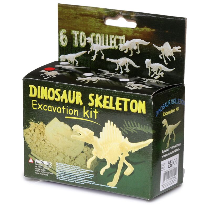 Kleines Dinosaurier -Skelettausgrabungssatz
