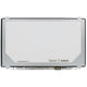 OEM 15,6 Zoll LCD -Bildschirm 1920x1080 Gloss 30pin EDP