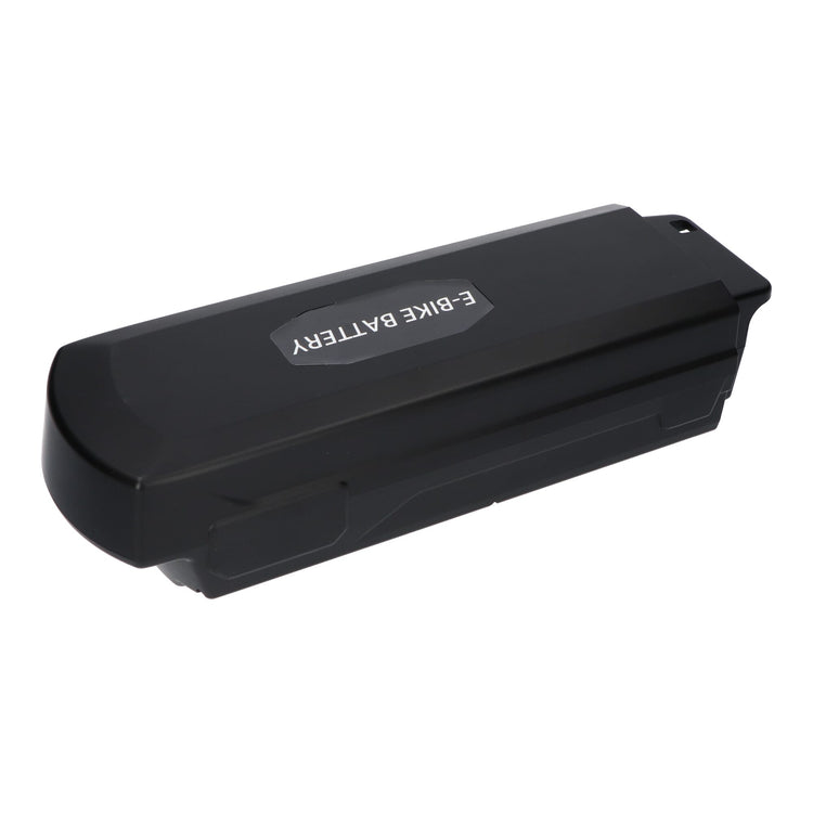 Ersatzriesen EnergyPak Fahrradbatterie 13AH
