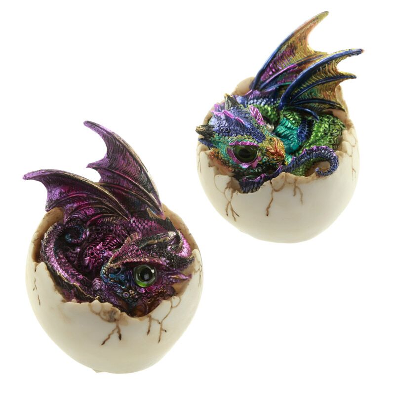 Enchanted Dragon - Kinder der Zukunft