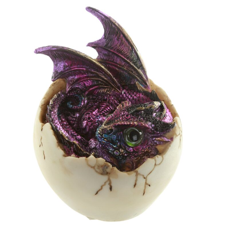 Enchanted Dragon - Kinder der Zukunft