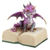 Elemente Drache mit Buch