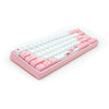 Ducky Miya Sakura V1