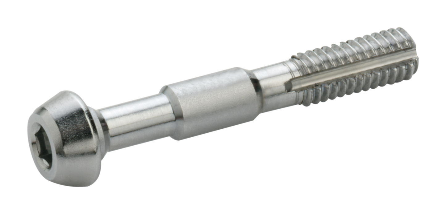 ELVEDES BANJO BOLTS FÜR (2.)