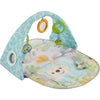 Fisher-Price Butterfly Dreams Speelgym mit Musik