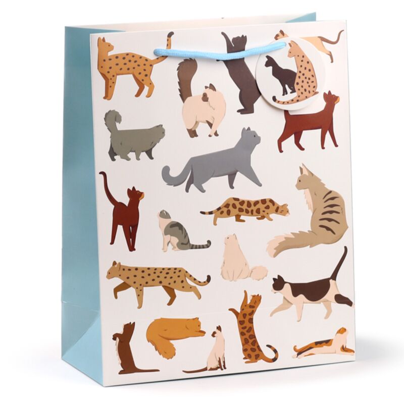 Katze schöne Katzen - große Geschenktüten