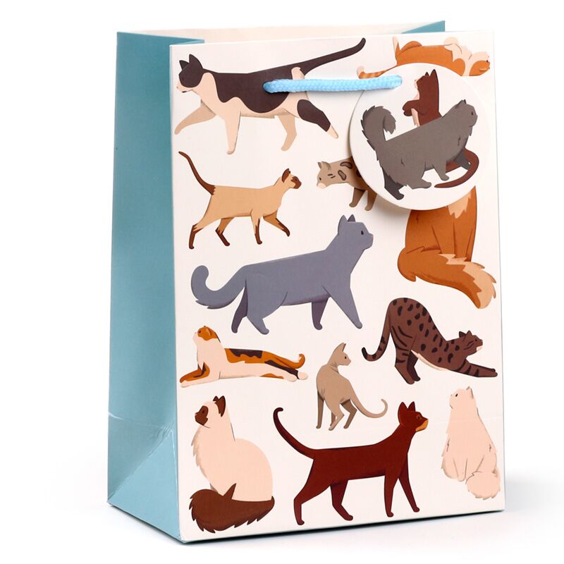 Katze schöne Katzen - Geschenktüte Medium