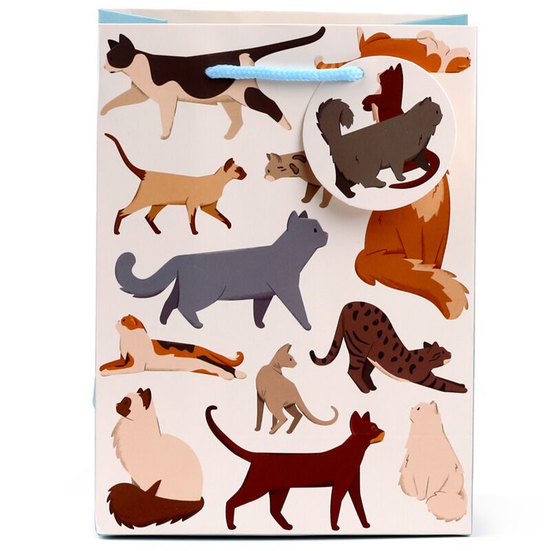 Katze schöne Katzen - Geschenktüte Medium