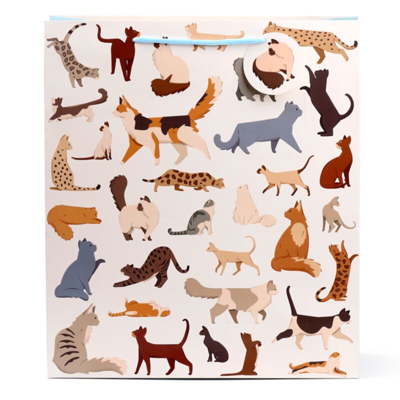 Katzen schöne Katzen - Geschenktüten xl