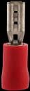 Axa Box eine 100 -Diagnie -Stecker flache Frau klein rot