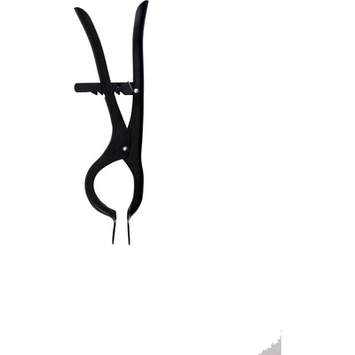 Gabelstrahl