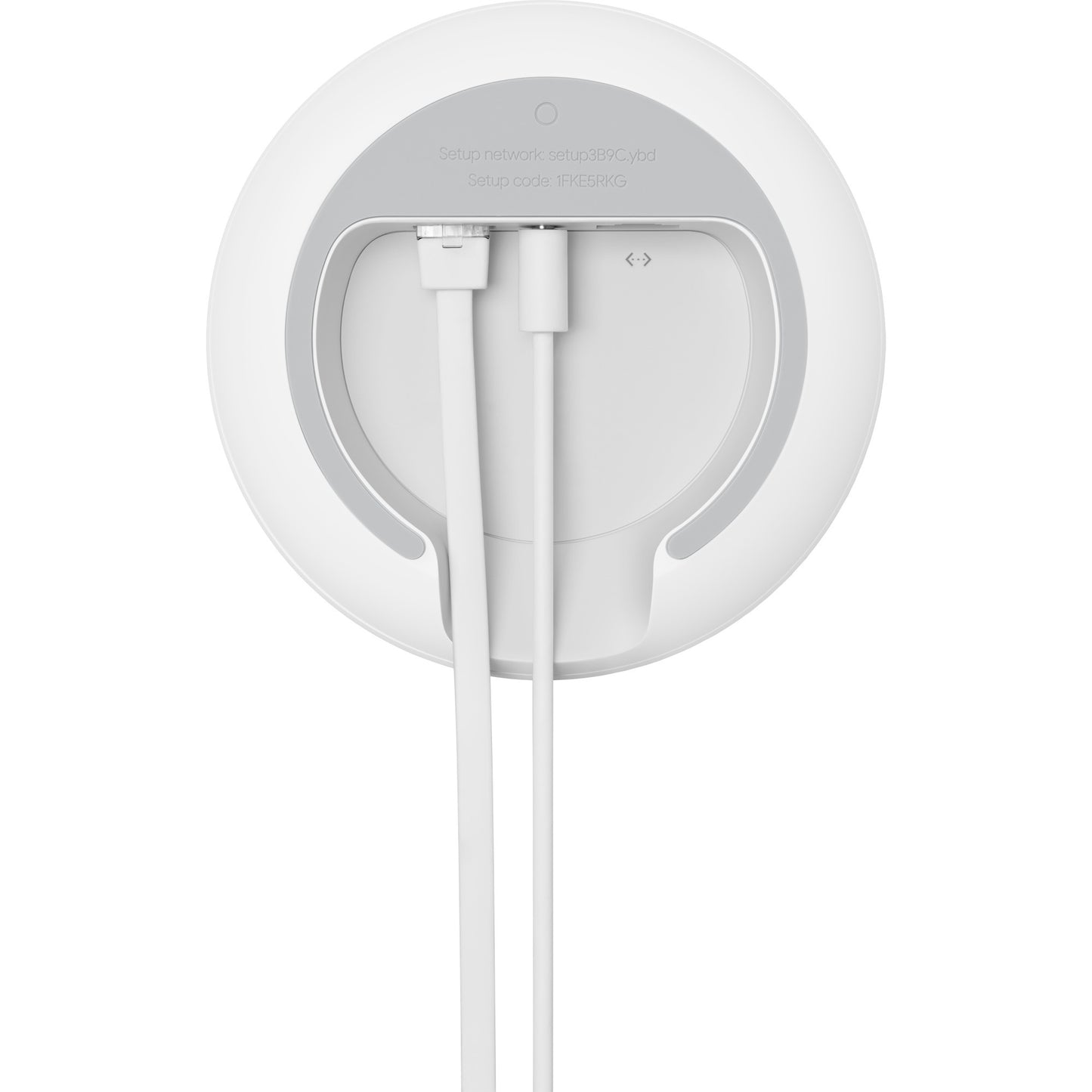 Google WiFi Router + Punkt