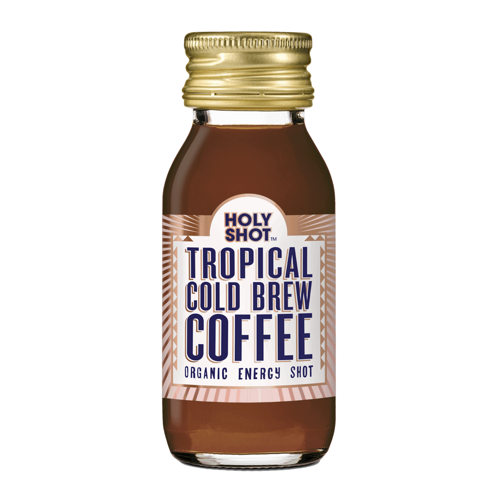 Holyshot Tropical Cold Brew Kaffee Bio (12x 60ml)