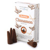 37422 Stamford Backflow -Weihrauchkegel - Zimt
