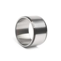 Ina Innenring
