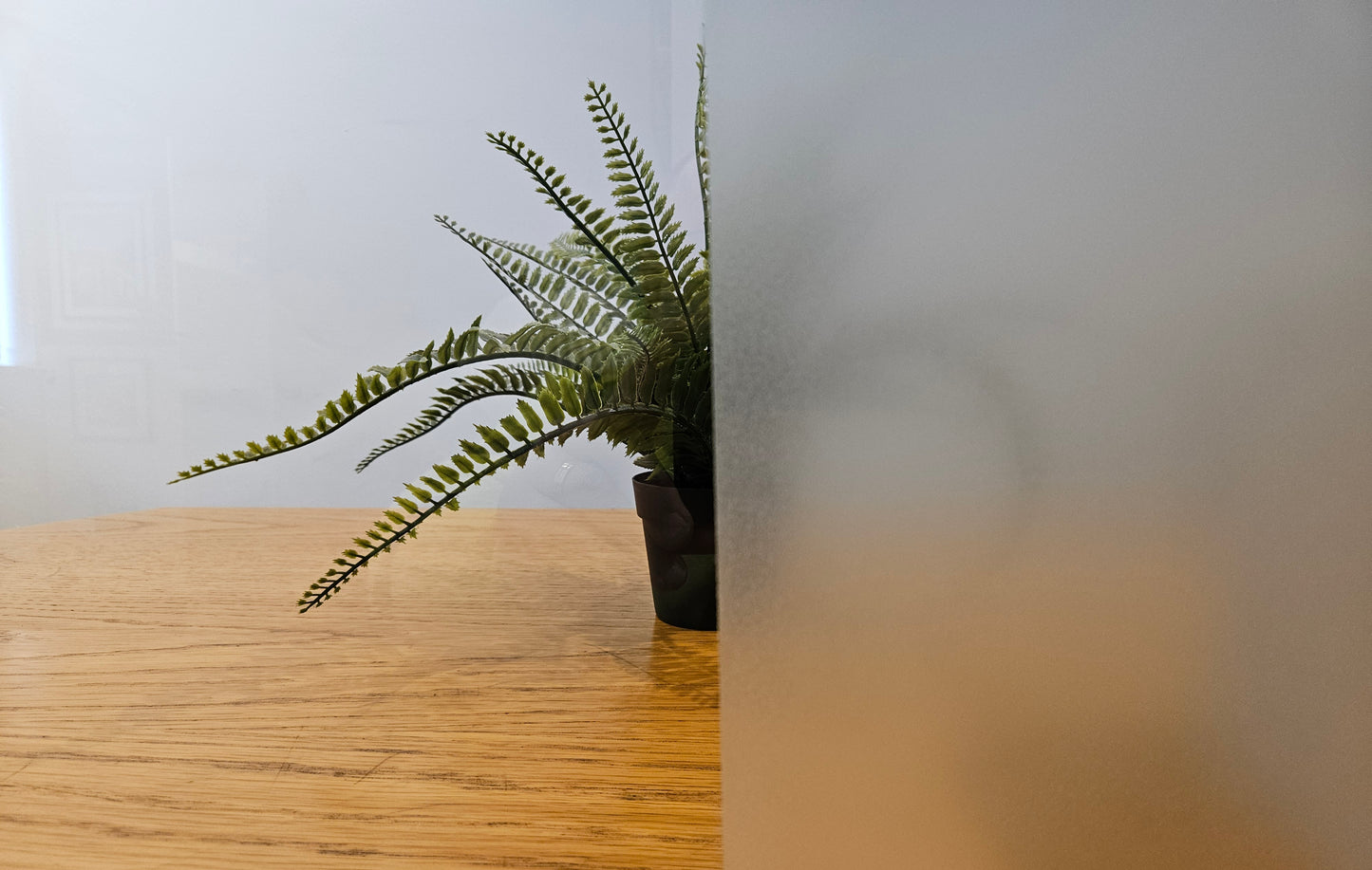 Kenro Anti Reflection Spray Matte für die schwarze Oberfläche