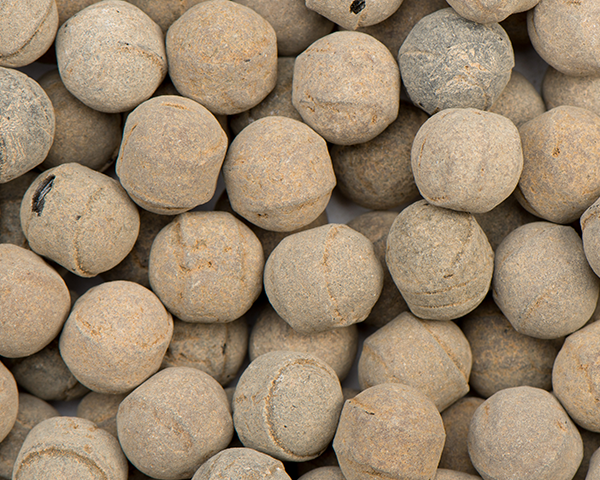 Kindly's Sal-Ammoniak-Hagel (3,5 kg)