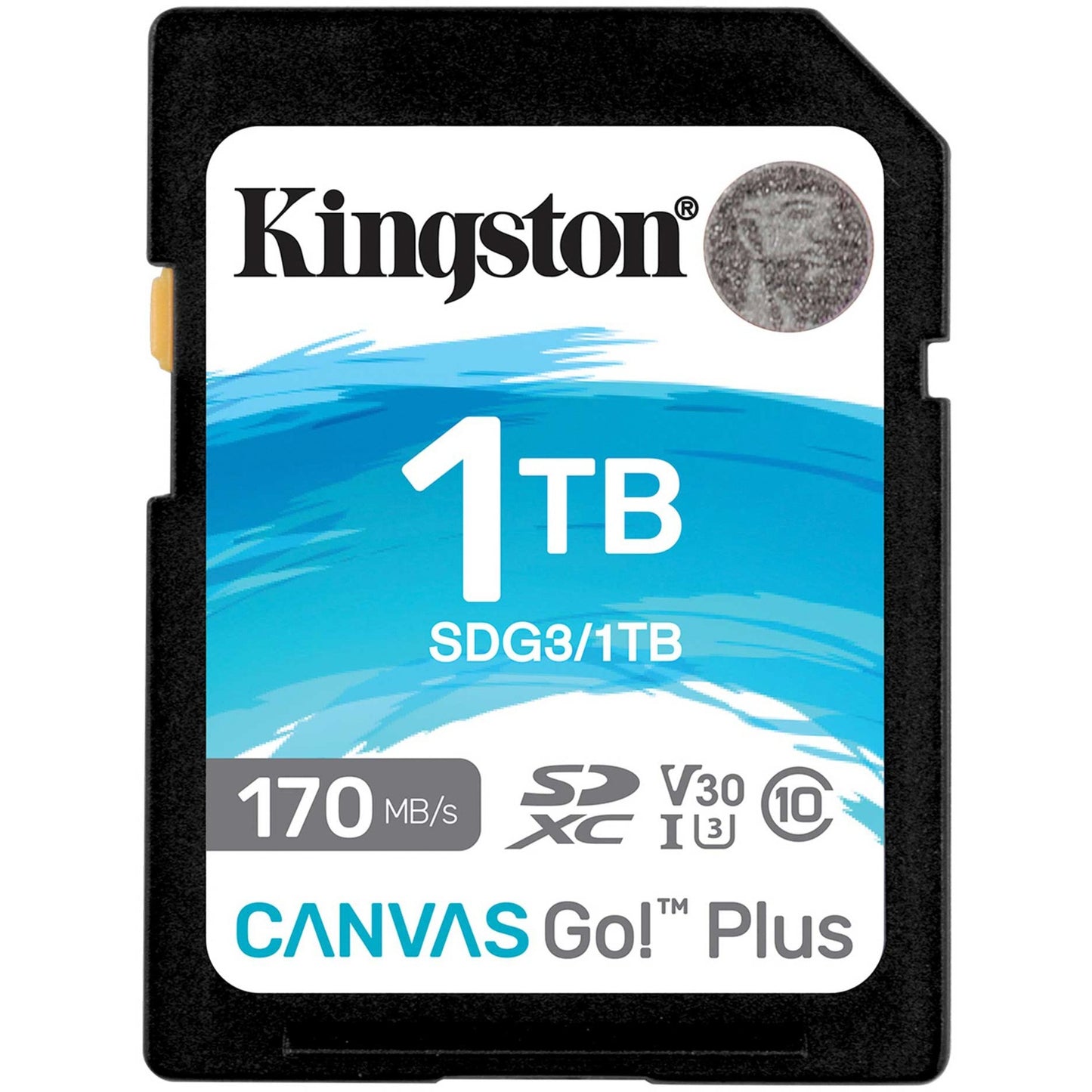 Kingston Canvas gehen! Plus SDXC 1 TB