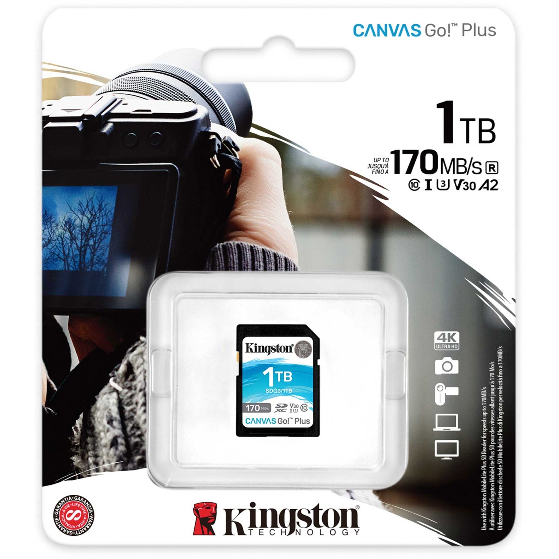 Kingston Canvas gehen! Plus SDXC 1 TB