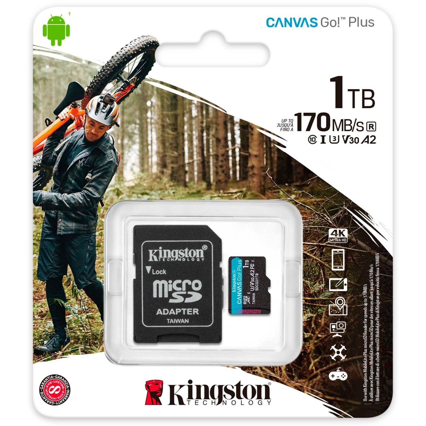 Kingston Canvas gehen! Plus microSDXC 1 TB