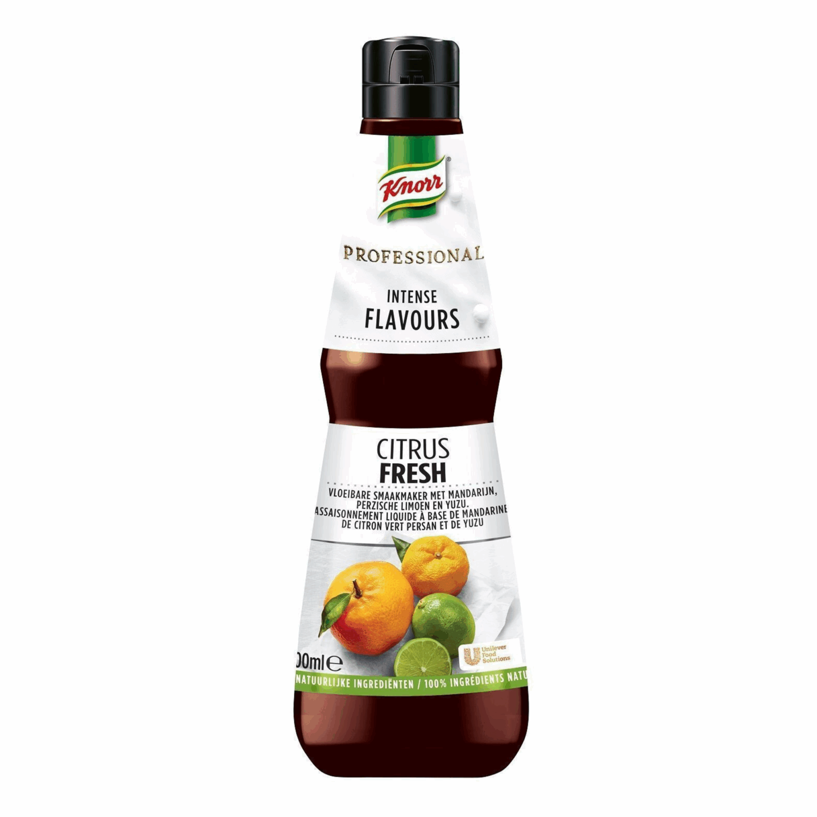 Knorr professioneller intensiver Geschmack Zitrusfrische (400 ml)