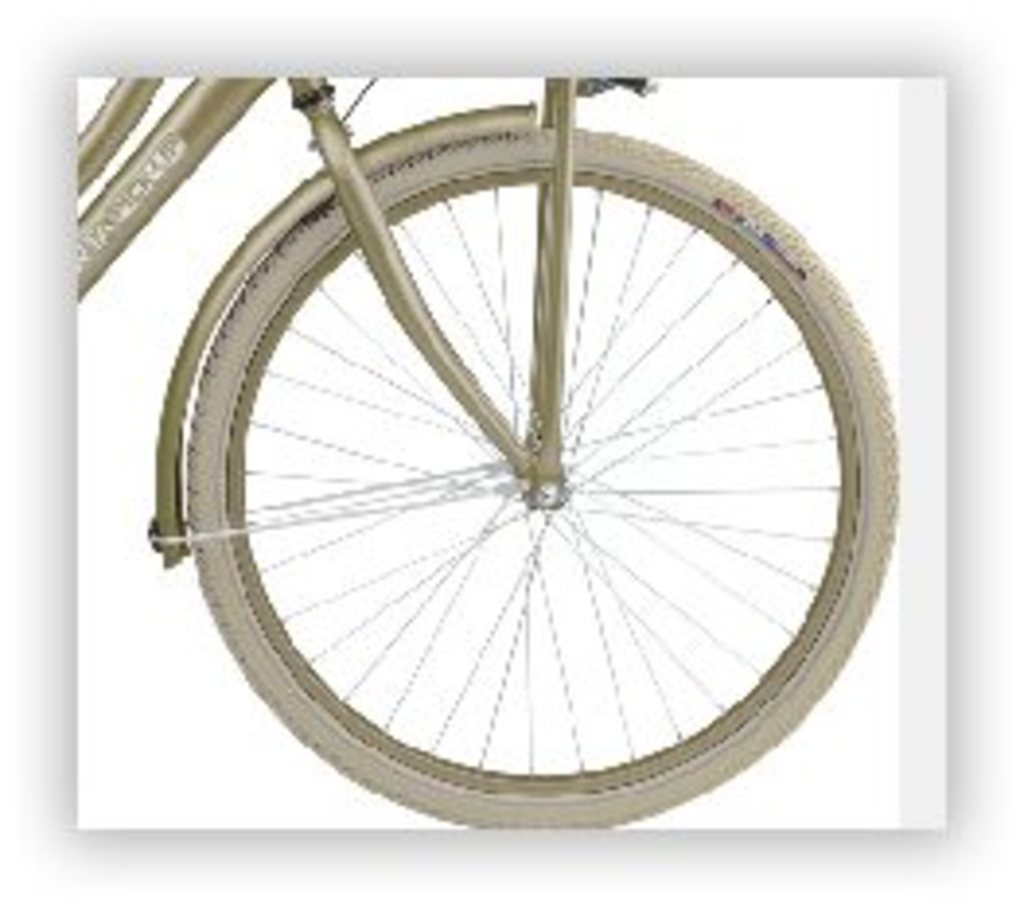 Batavus Vorderrad 24 Pick-up-Felge silberblond matt