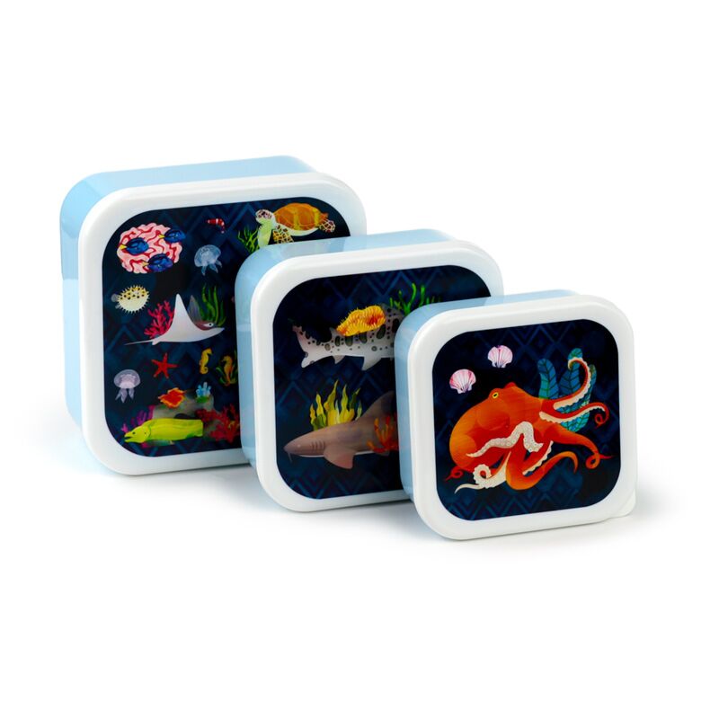 Set 3 Lunchbox M l xl - Marine Kingdom