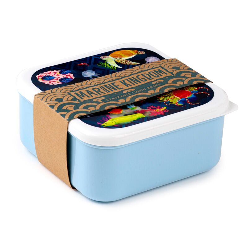 Set 3 Lunchbox M l xl - Marine Kingdom
