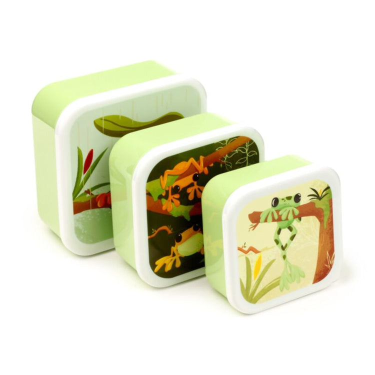 Setzen Sie 3 Brotbox M L XL Tropical Tree Frosch