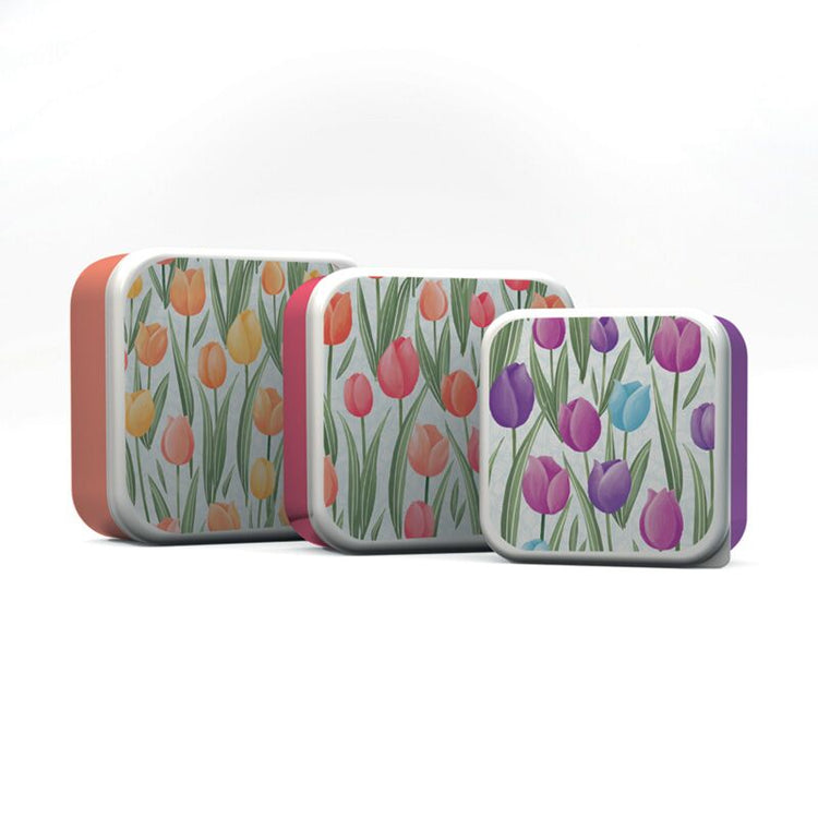 3er-Set Lunchbox S M L Tulpen