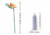 Sluban strelitzia reginae aiton (m38-b1101-01) - afbeelding 2