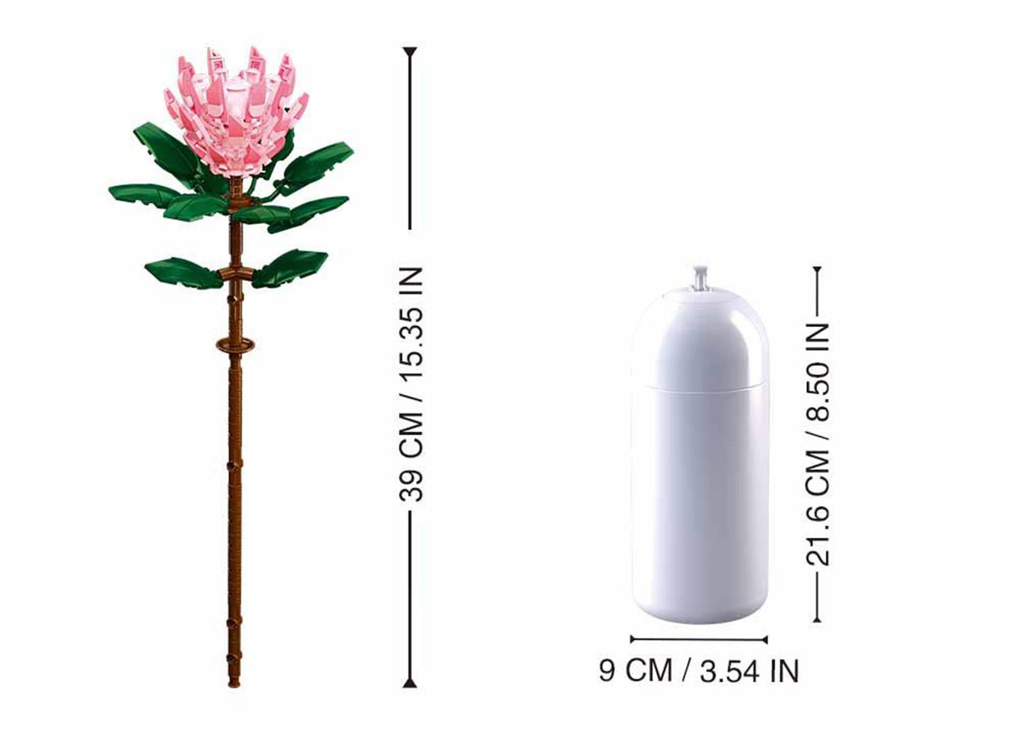 Sluban-Riesenprotea (m38-b1101-03)