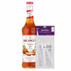 Monin Kürbis + Pumpe (70cl)