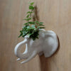 Keramische Elefantenkopfwanddekoration Blumenpot im Inneren
