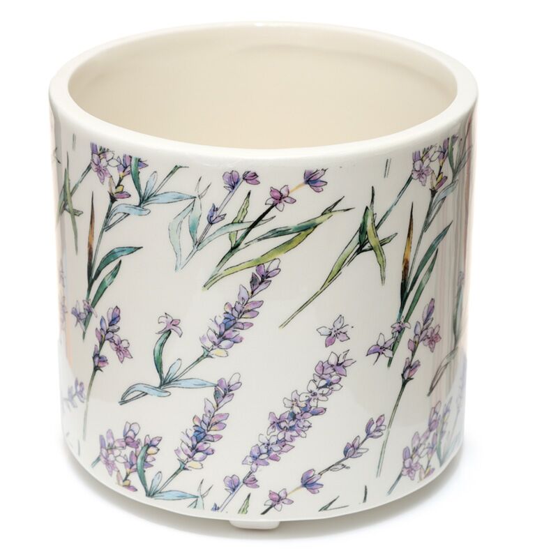 Auswahl des Haufen Lavendel Vellden stehender Blumenpot im Inneren - groß