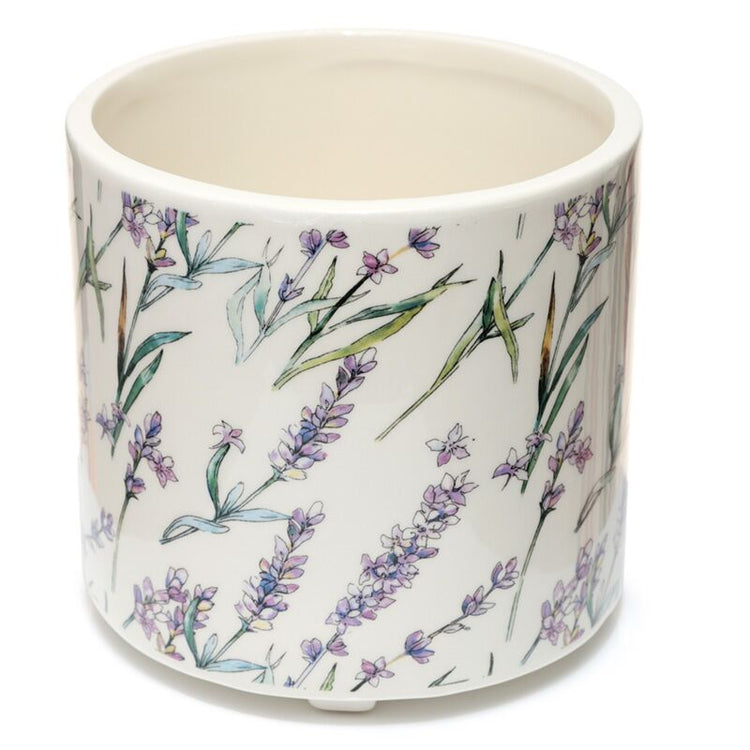 Auswahl des Haufen Lavendel Vellden stehender Blumenpot im Inneren - groß