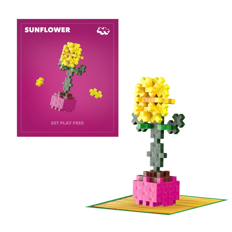 Plus-Plus-Pflanzenpakete – Sonnenblumen-Plus-Plus-Blumenpflanzen (4340)