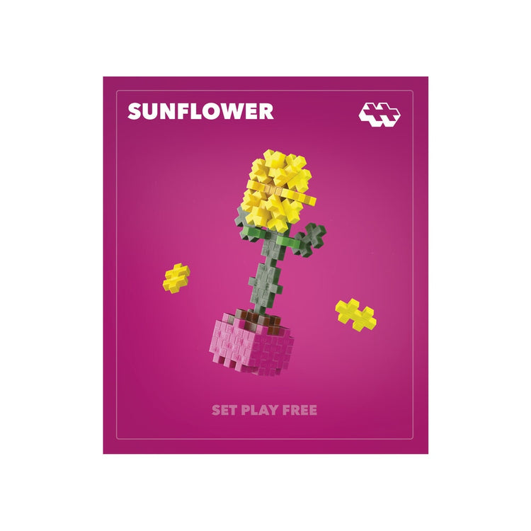 Plus-Plus-Pflanzenpakete – Sonnenblumen-Plus-Plus-Blumenpflanzen (4340)