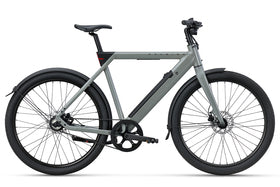 Raleigh eins