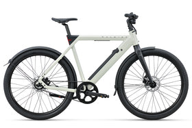 Raleigh eins