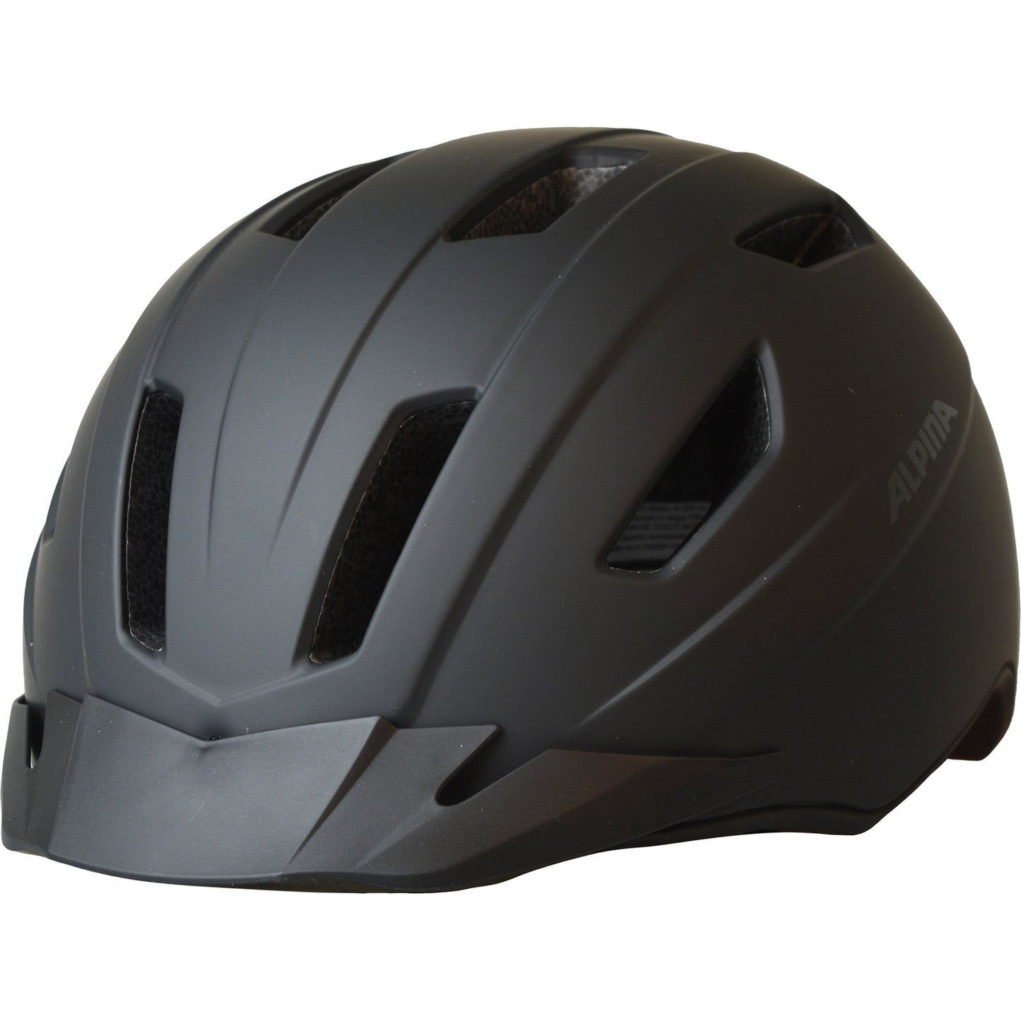 Alpina Casque Tajo Speedpedelec Black Matte 55-61