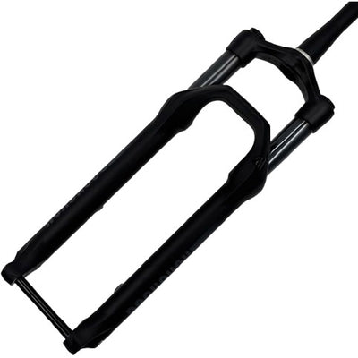 RockShox Vorderradgabel 35 Silber 29 T120 Disc MTB OEM
