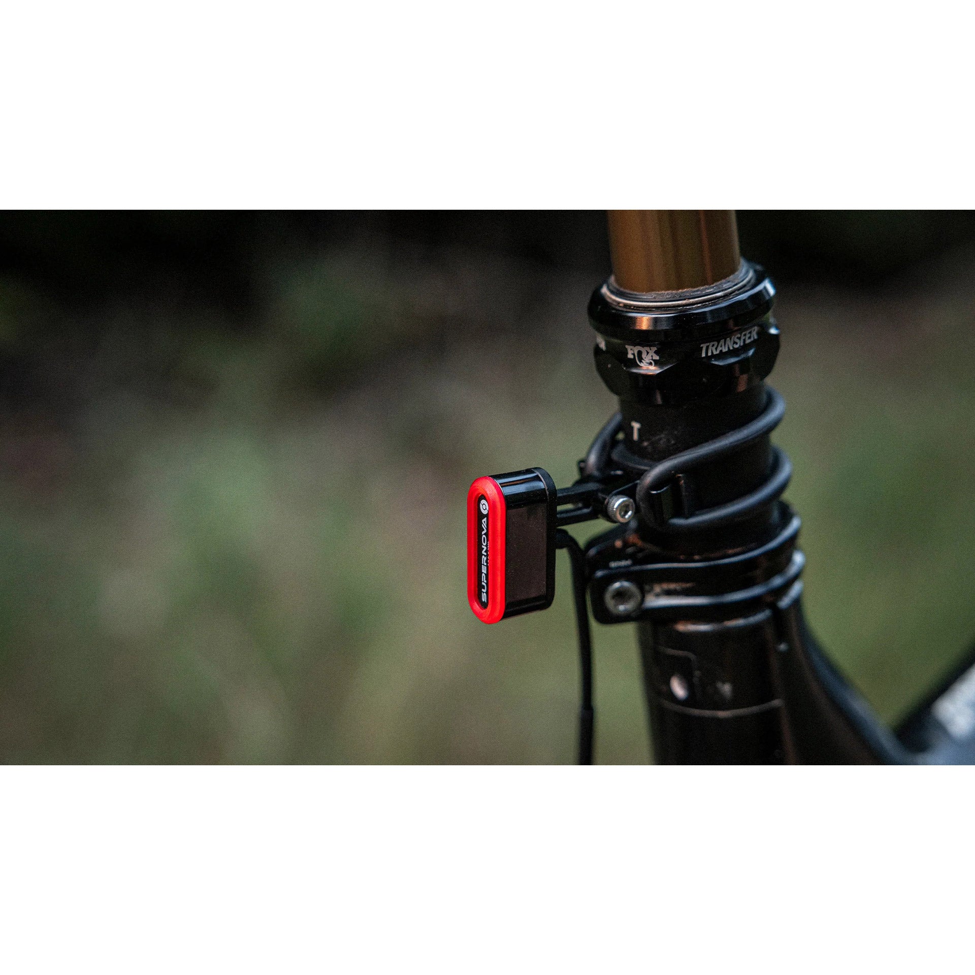 AXA SUPERNOVA TAILLILLIGHT TL3 MINI DYNAMO Gepäck Rider 12v Schwarz